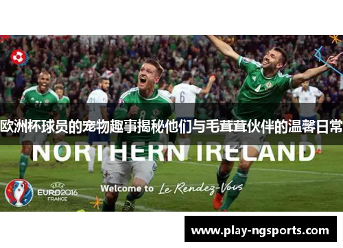 欧洲杯球员的宠物趣事揭秘他们与毛茸茸伙伴的温馨日常 欧洲杯球员的宠物趣事揭秘他们与毛茸茸伙伴的温馨日常