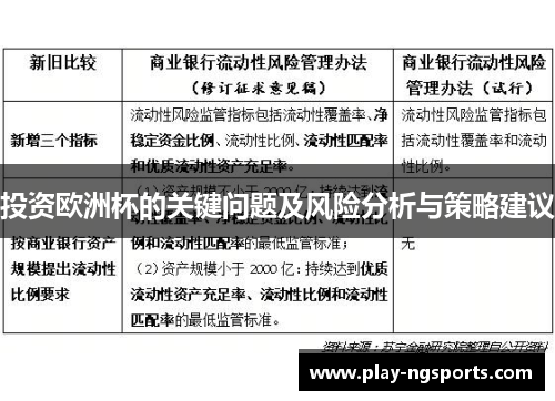 投资欧洲杯的关键问题及风险分析与策略建议 投资欧洲杯的关键问题及风险分析与策略建议