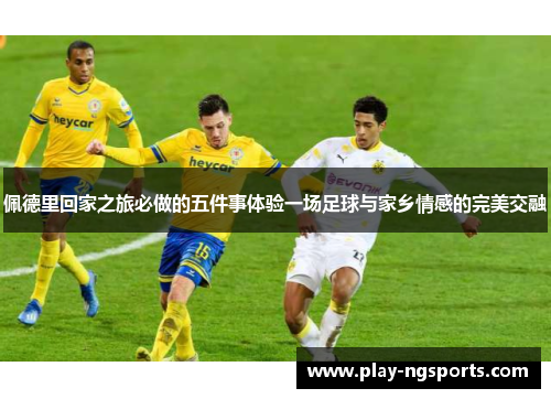 佩德里回家之旅必做的五件事体验一场足球与家乡情感的完美交融 佩德里回家之旅必做的五件事体验一场足球与家乡情感的完美交融