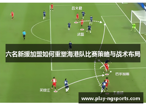 六名新援加盟如何重塑海港队比赛策略与战术布局 六名新援加盟如何重塑海港队比赛策略与战术布局