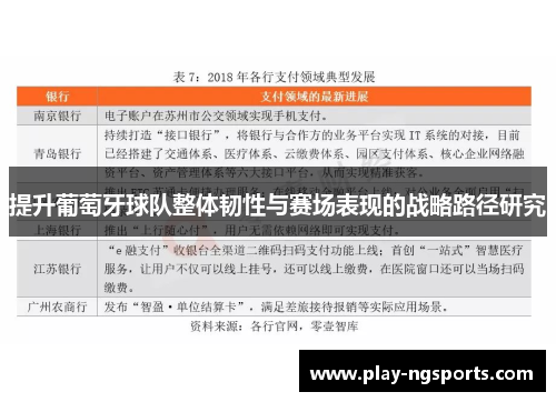 提升葡萄牙球队整体韧性与赛场表现的战略路径研究 提升葡萄牙球队整体韧性与赛场表现的战略路径研究