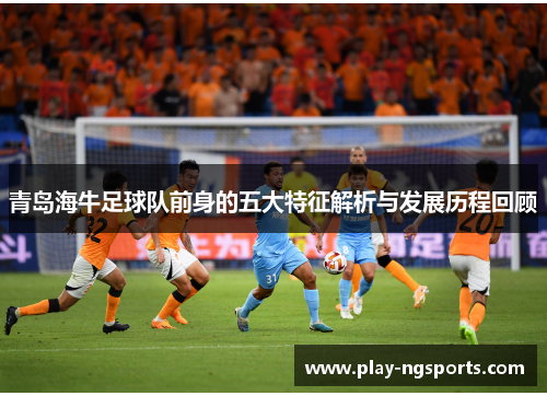 青岛海牛足球队前身的五大特征解析与发展历程回顾 青岛海牛足球队前身的五大特征解析与发展历程回顾